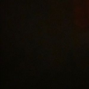 Meet your Posher, Lucy